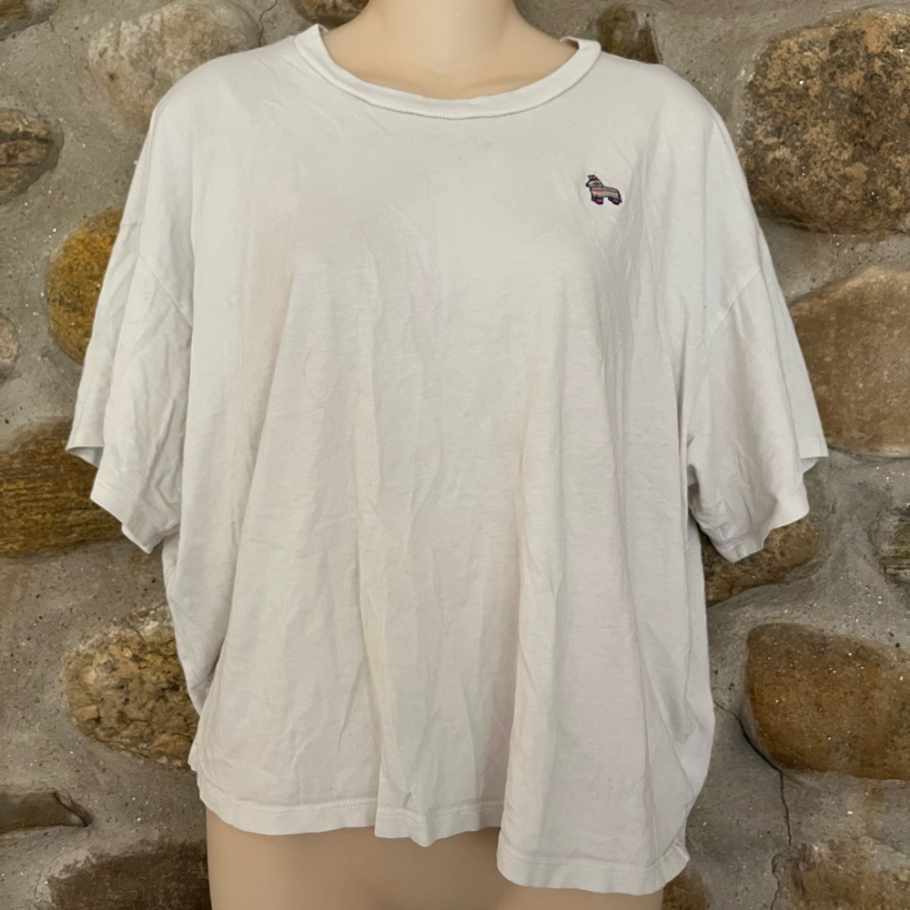 American Eagle Piñata Patch Tee